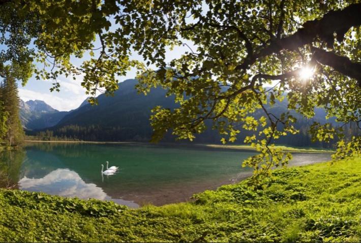 Hotel Alpina Kleinarl Buitenkant foto