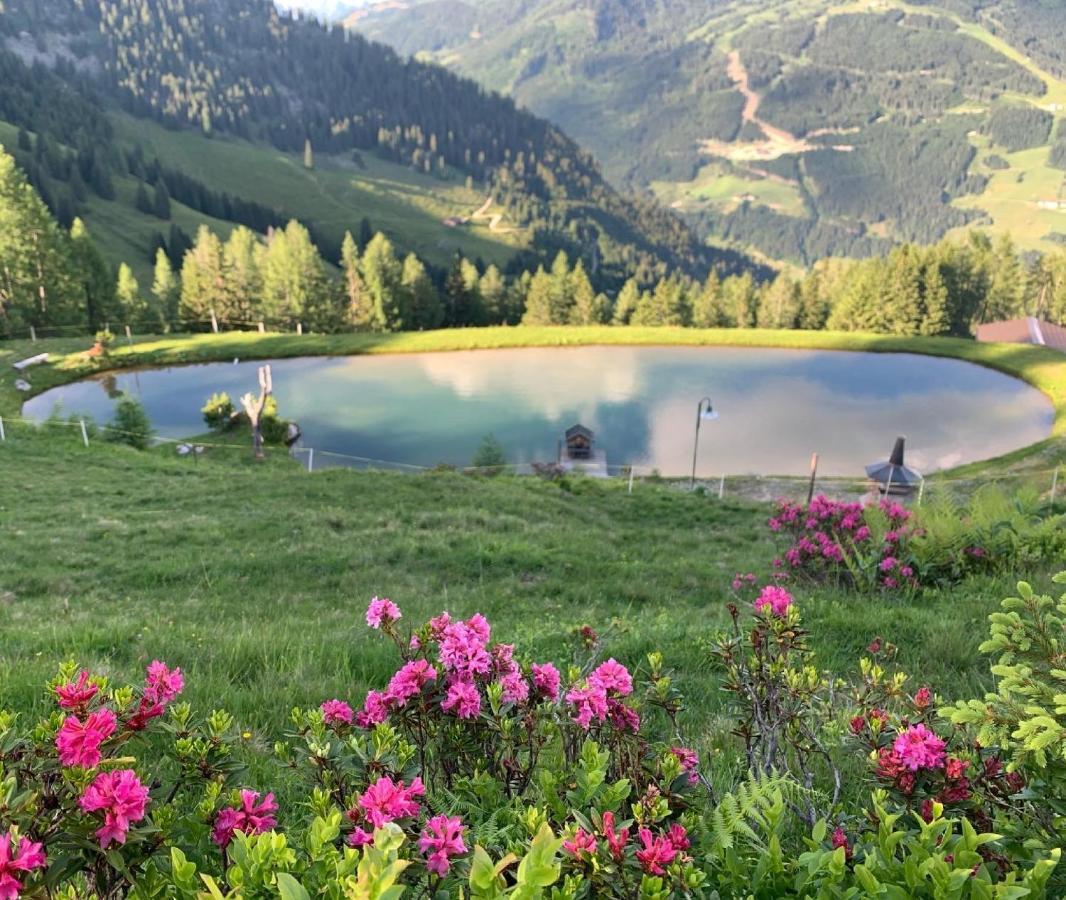 Hotel Alpina Kleinarl Buitenkant foto